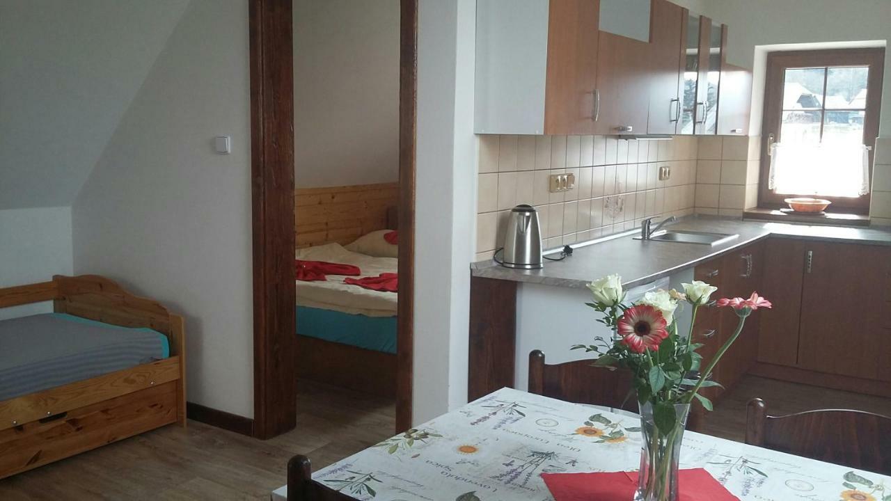 Apartment Nedrik Rokytnice nad Jizerou Dış mekan fotoğraf